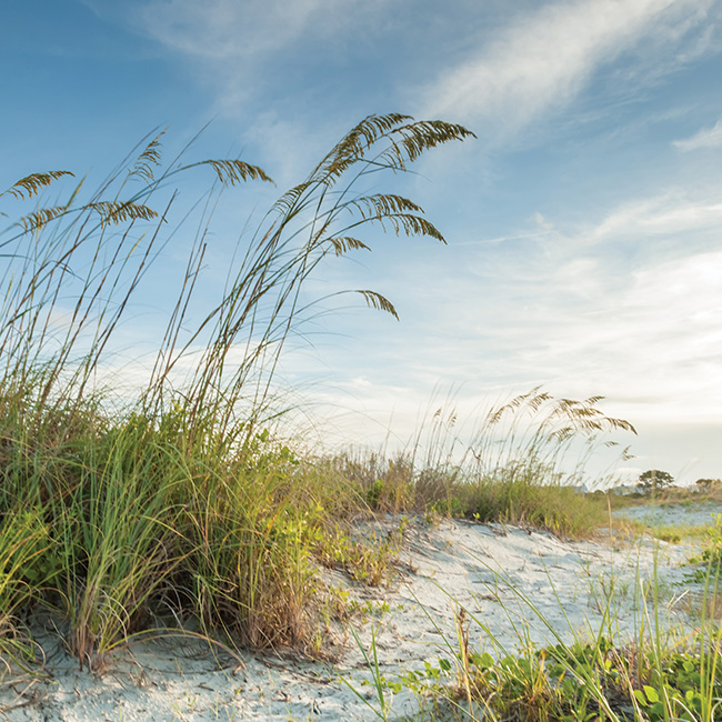 Hilton Head Island, SC