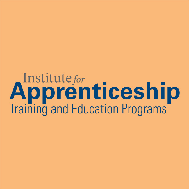 Institute for Apprenticeship Training and Education Programs