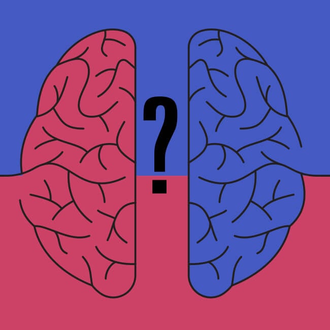 Illustration of two brain halves with a question mark in between