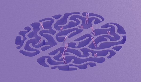 Illustration of a brain containing ladders
